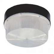 Induction Canopy Light